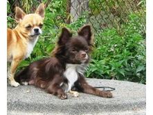 ���� � �����.jpg