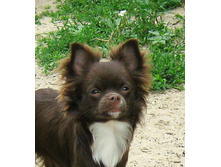 ������� ����.jpg