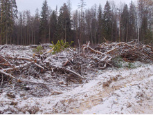 ������� ����� � ���������.