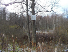 ������������������� �������.