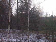 ��������� �����