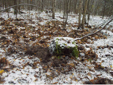 ������ �������