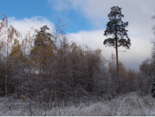 �������� �������