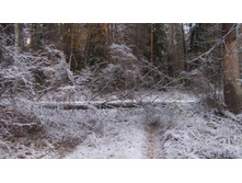 ���������� ������