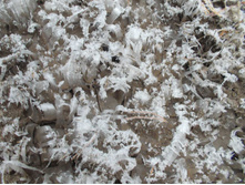 �������� ���� �������� �� ���� �� ������