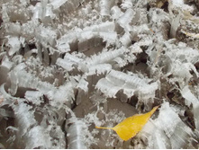 �������� ���� �������� �� ���� �� ������