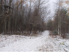 ������� ����� � ���������