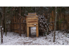 ������ ��� ������ �������.