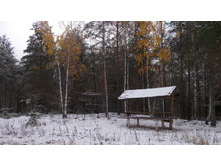 ���������������� ����