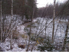 ������ ����