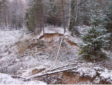 ����������� ������� �����