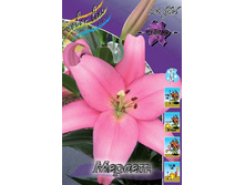 Lilium Merlet 10 ��. 141,9 ���..jpg