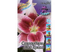 Lilium Strawberry And Cream 10 ��. 292,80 �..jpg