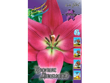 Lilium Tropic Diamond 10 ��. 145,8 ���..jpg
