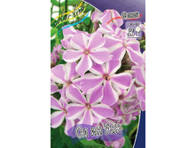 Phlox All In One 306,6�. �� 3 ��..jpg
