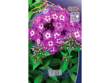 Phlox Katja 309�. �� 5 ��..jpg