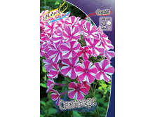 Phlox Spinners 418,3�. �� 5 ��..jpg