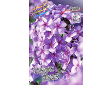 Phlox Swirley Birly 315,10�. �� 5 ��..jpg