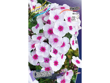 Phlox Swizzle 315,10�. �� 5 ��..jpg