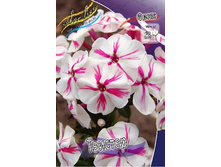 Phlox Twister 339,4 �. �� 3 ��..jpg