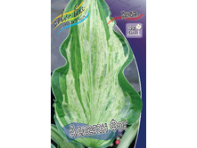 Hosta Allegan Fog 351,5 �. �� 2 ��.jpg