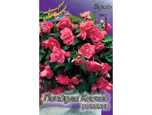 CASCADE PENDULA PINK 181,3�. 5 ��.jpg