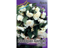 CASCADE PENDULA WHITE 181,3�. 5 ��.jpg