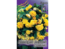 CASCADE PENDULA YELLOW 181,3�. 5 ��.jpg