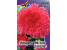FIMBRIATA PINK 143,4�. 5��.jpg