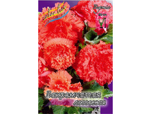 FIMBRIATA SALMON 5��. 143,4�..jpg