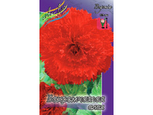 FIMBRIATA SCARLET 143,4�. 5��.jpg