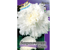 FIMBRIATA WHITE 143,4�. 5��.jpg