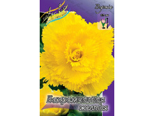 FIMBRIATA YELLOW 5��. 143,4�..jpg