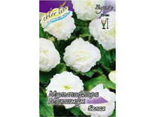 MULTIFLORA MAXIMA WHITE 5��. 184,6�.jpg