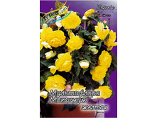 MULTIFLORA MAXIMA YELLOW 184,6�. 5 ��.jpg