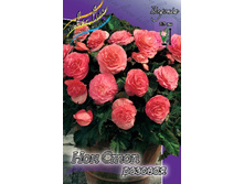 NON STOP PINK 207,5�. 5 ��.jpg
