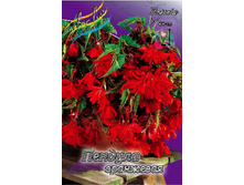 PENDULA ORANGE 158,5�. 5 ��.jpg