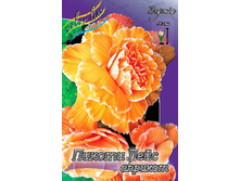 PICOTEE LACE APRICOT 393,6�. 5 ��.jpg
