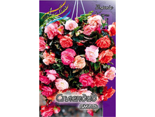 SPLENDIDE MIXED 5��. 207,5�.jpg