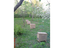 ������ � ����������.JPG