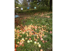 � ���� �� ������.JPG