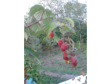 ������ � ��������.JPG