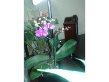 2014-10-18 09.57.34.jpg