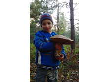 ��������.