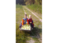 ���� ���� �� �����!