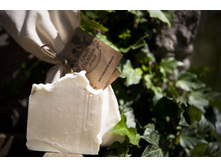 «���� �����������» - ������������ ����, 100 ��., ���� 155��� �� 100��. ������� ���� ����� �� 100 �� 130 ��.