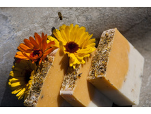 «���� ���������» - ������������ ����, ���� 155��� ��  100��. ������� ���� ����� �� 100 �� 130 ��.