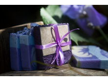 «���� �������» - ������������ ����, ���� 155��� ��  100��. ������� ���� ����� �� 100 �� 130 ��.