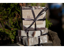 «���� ����������» - ������������ ����, ���� 155��� ��  100��. ������� ���� ����� �� 100 �� 130 ��.