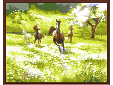 PO-G_291 ����_��� ������ 40�50,600�.jpg